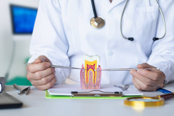 Best Emergency Dental Surgery in Lden, MA